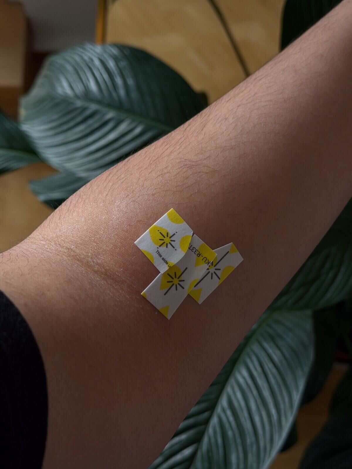 Three small Inkster tattoo transfers positioned on the inner forearm before wetting