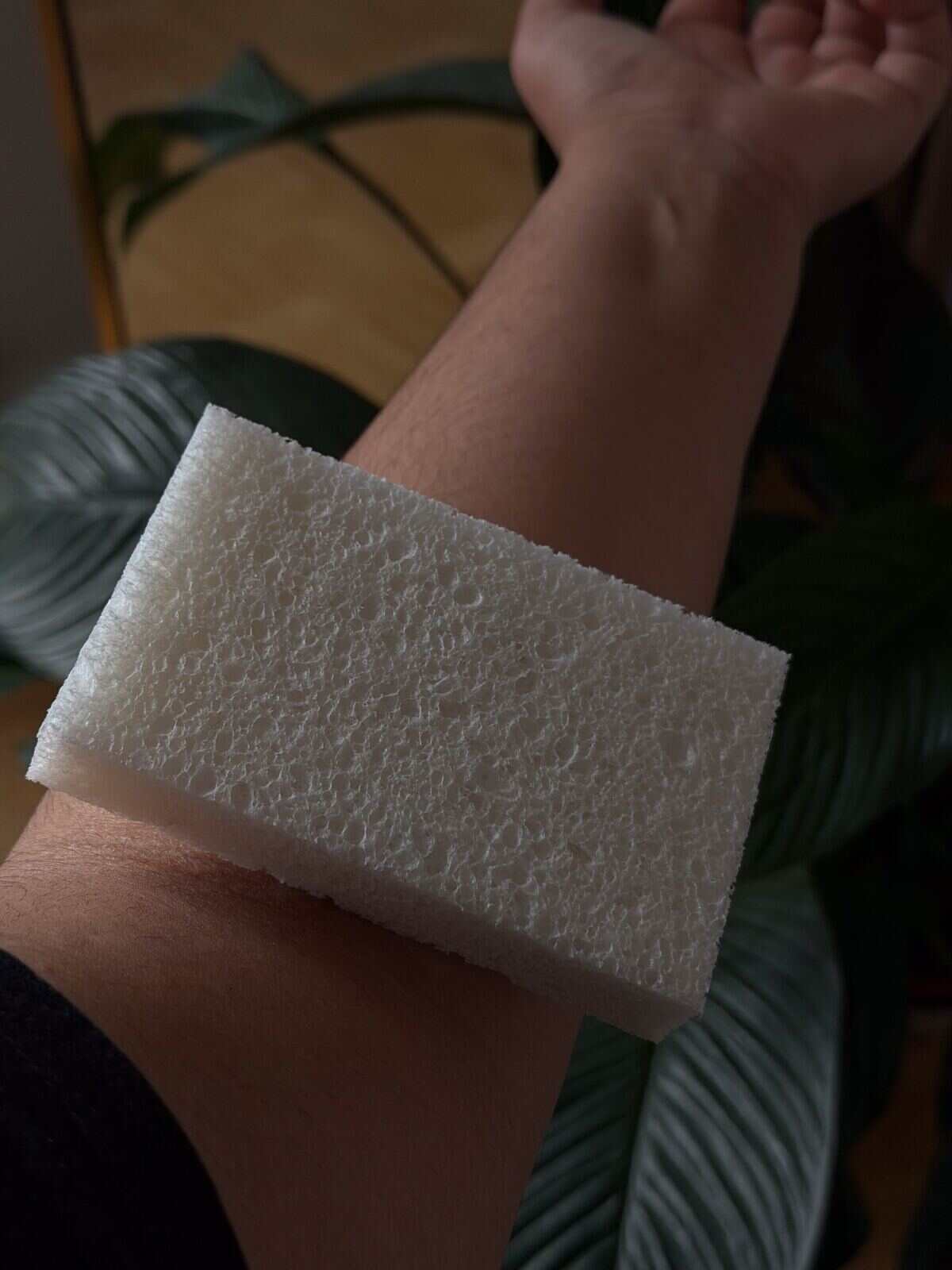 Wet Inkster pop up sponge held above the prepared forearm before tattoo transfer
